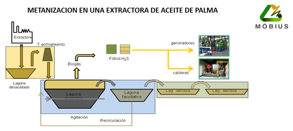 Metanizacion 4